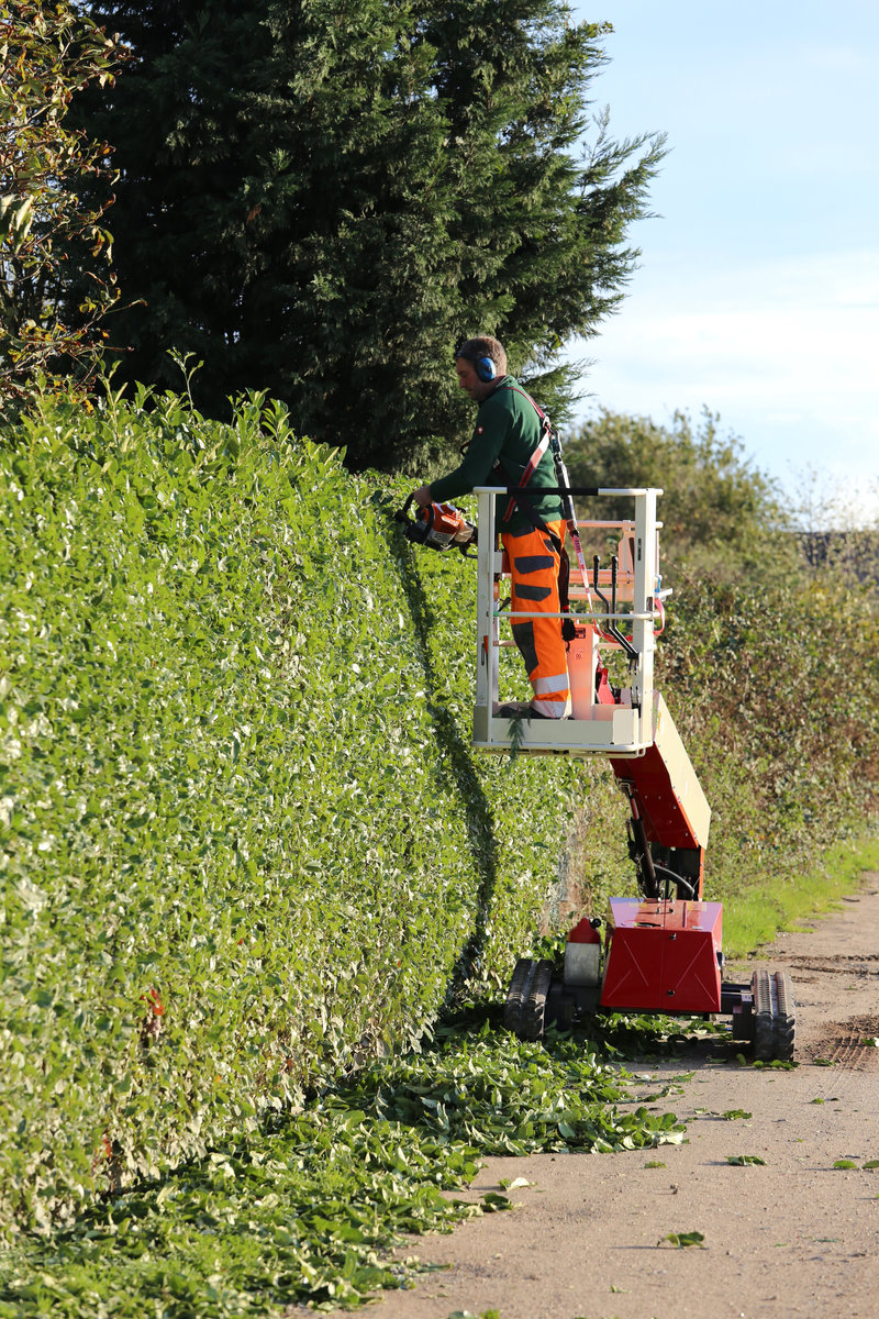 Einsatz im Garten- und Landschaftsbau